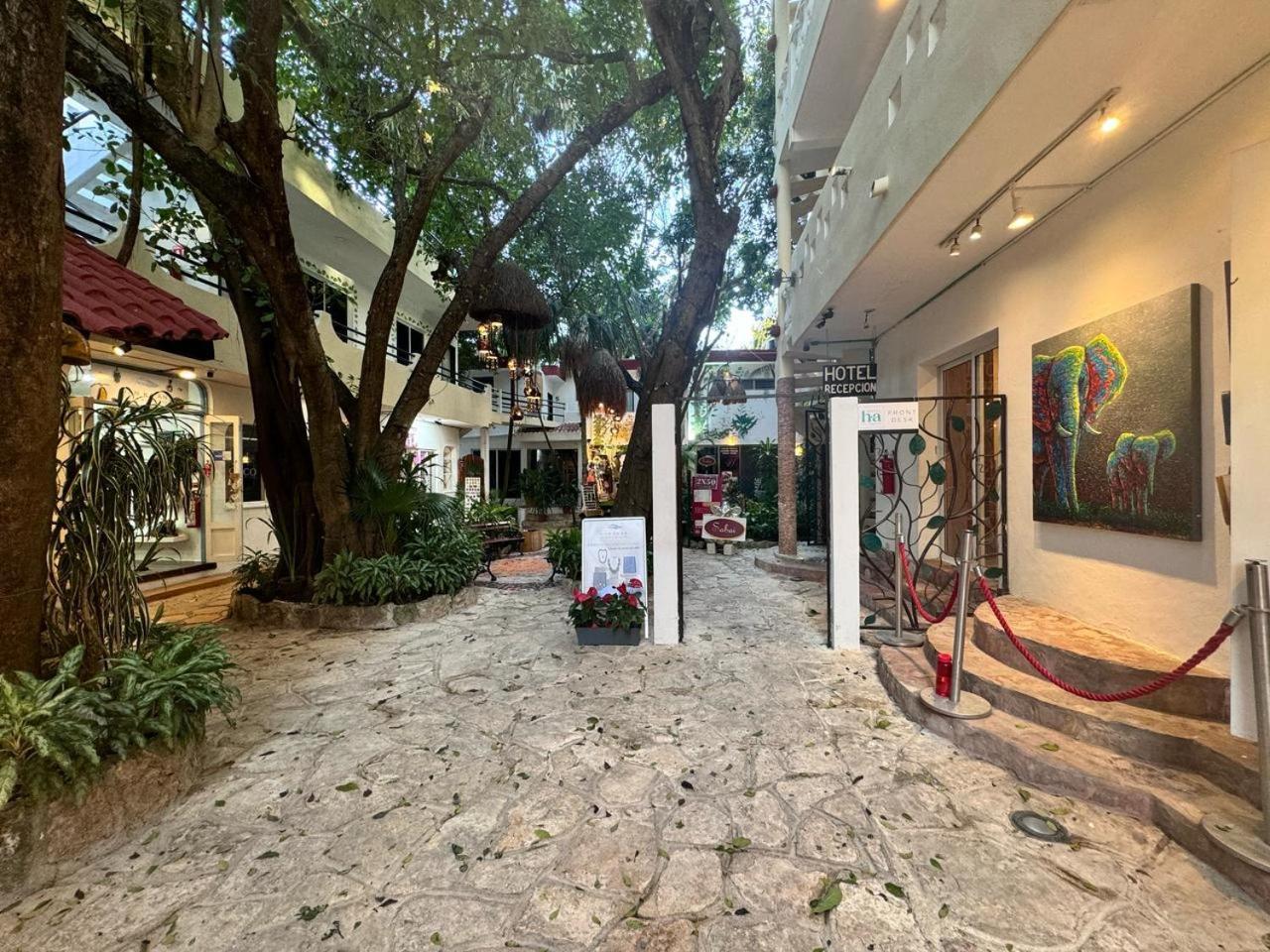 Hotel Ha Garden Gallery - 5Th Avenue Playa del Carmen Exterior foto